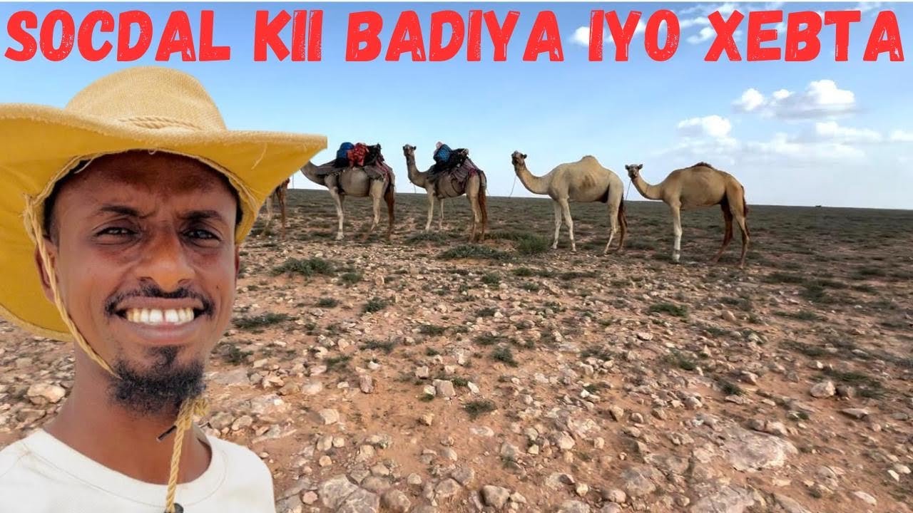 WAXAAN SAFAR KUMARAY  dhulka miyaga ah