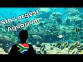 uShaka Marine World - Visit the 5th Largest Aquarium in the World!