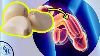 Q&A Is 𝗚𝗮𝗿𝗹𝗶𝗰 𝗚𝗼𝗼𝗱 𝗙𝗼𝗿 𝗘𝗿𝗲𝗰𝘁𝗶𝗼𝗻𝘀 & Libido?