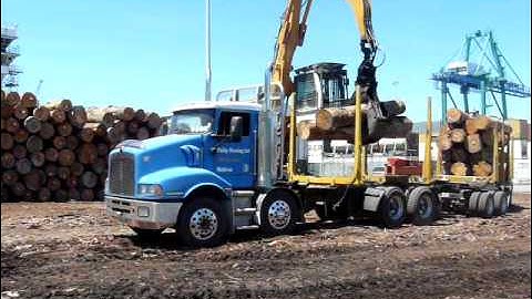 Export Logs Lyttelton Port