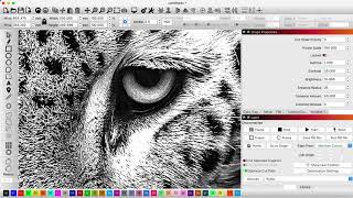 Basic Photo Engraving Directly In Lightburn Software screenshot 3