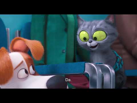 The Secret Life of Pets 2/ Singuri acasă 2 (2019) - Trailer subtitrat în română