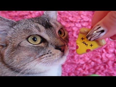 КОТ СЛАДУН И ПОДАРОК НА 1 СЕНТЯБРЯ! ОПАЗДЫВАЕТ В ШКОЛУ?