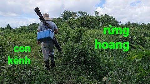 câu cá rô đồng, cá trê, con kênh nhỏ toàn cá to và khủng @TAMCARO