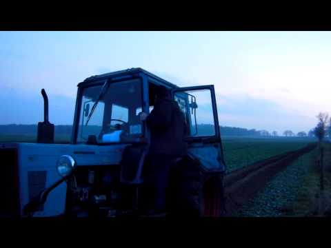 Usługi Mtz 82
