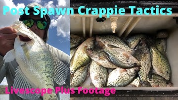 Post Spawn Crappie Tactics, Catching A Limit, and Tons Of Livescope Plus Footage   HD 1080p