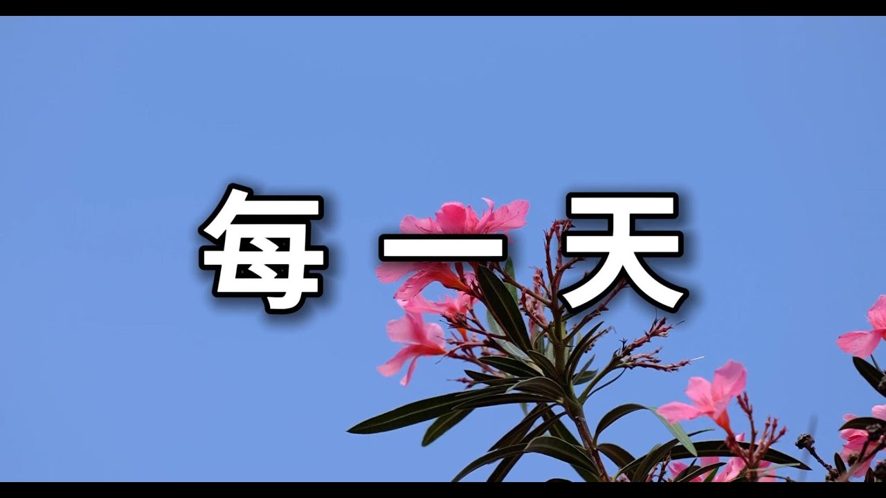 【讚美詩歌】每一天|每一天所度過的每一刻|我得著能力勝過試煉 - YouTube