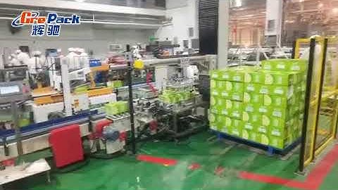 Automatic carton palletizer, single column palletizer