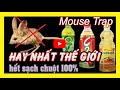 Những Bẫy Chuột Hay Nhất Thế Giới Không Sát Sinh , #mẹođuổichuột || #mousetrap || #tips usa.