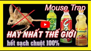 The World's Best Mouse Traps Don't Kill, # Mouse Traps || #mousetrap || #tips usa.