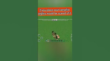 Minecraft life hacks part 9 #shorts #viralshorts #minecraftshorts #minecraftpe #minecrafthacks