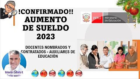 ¿Cómo se llaman ahora los auxiliares docentes?