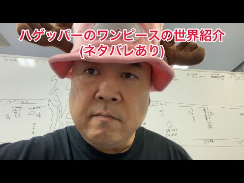 【ネタバレ注意】ワンピースの世界地図と大まかな流れをご紹介 チョッパー芸人ぴっかり高木 #onepiece #ワンピース #チョッパー #chopper #ナッパ #ぴっかり高木