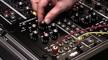 Exploring The Basimilus Iteritas Magnus (plus Manis)