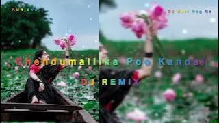 Chendumallika Poo Kandal DJ Remix Sambaluri Mix By DJ Shadow N R D musiq