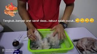 [Man Aziz Rabbit] Cara cucuk ubat 3 serangkai..kurap..kutu..cacing ke arnab..