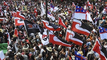 New Zealand parliament votes down treaty bill