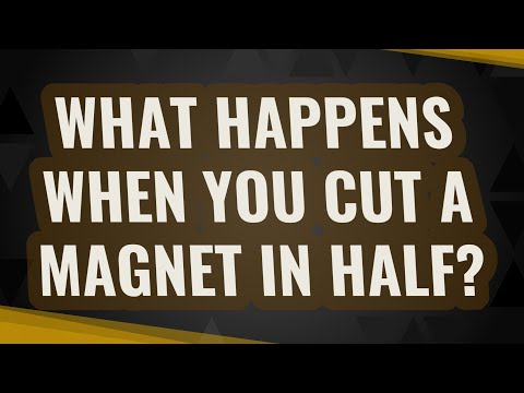 What happens when you cut a magnet in half?