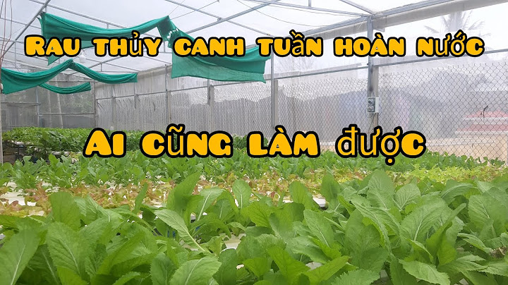 Sách hướng dẫn trồng rau thủy canh năm 2024