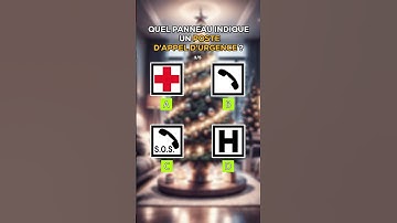 QUIZ CODE DE LA ROUTE ! #permisdeconduire #code #codedelaroute #quiz #quizz  #permis