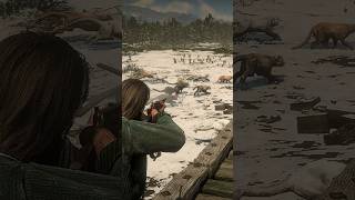 Amazing survival skills #43