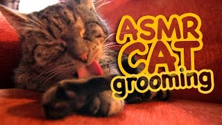 ASMR Cat - Grooming #39 by CatCloseUps 48,751 views 7 years ago 7 minutes, 34 seconds