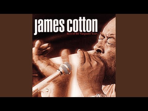 Putar Cut You Loose - James Cotton