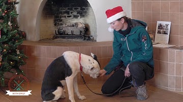 Training Tip Tuesday - Clicker Training - Episode 7