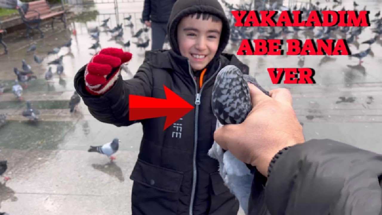 Yabani Güvercinler Arasında Kaçak Avı ( Abe Bir Kuş Yakala Bana )