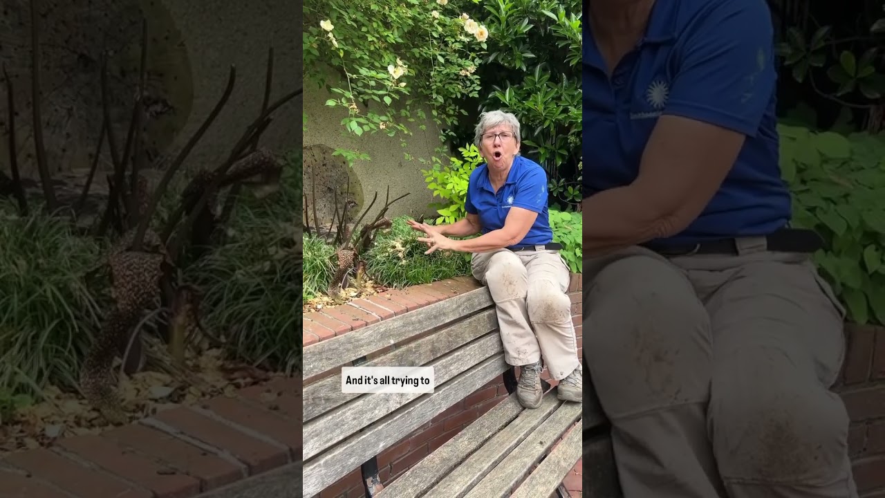 Eww, what’s that smell?! This plant intentionally smells like dead animals to attract 