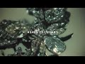Miniature de la vidéo de la chanson Ashes Of Luxury