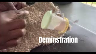 Diatomaceous Earth How To Apply To Carpet & Wood/Tile Floors