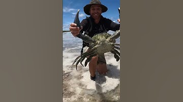 Thumbnail of GIANT MUDCRAB barehanded catch for ISLAND SURVIVAL