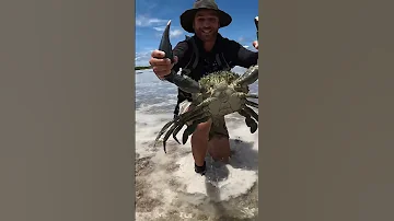 GIANT MUDCRAB barehanded catch for ISLAND SURVIVAL