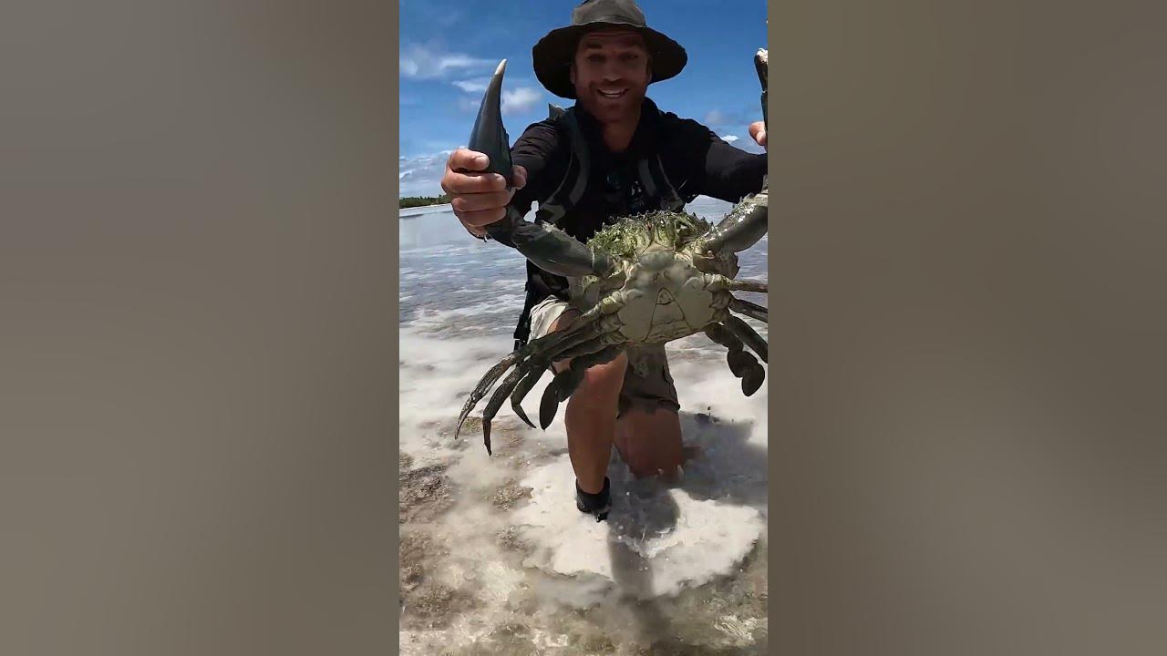 GIANT MUDCRAB barehanded catch for ISLAND SURVIVAL