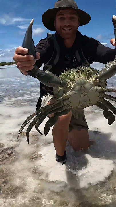 GIANT MUDCRAB barehanded catch for ISLAND SURVIVAL