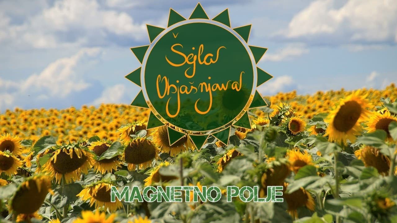 Magnetno polje + Zadatak | MAGNETIZAM