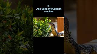 6 Fakta unik biawak #viralvideo #biawak #biawakjumbo #biawakjawa #shorts