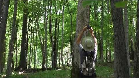 Get Started Using TreeSnap