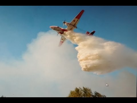 Лесной пожар тушат спасатели, авиация и Нацгвардия