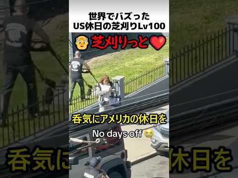 アメリカ休日の芝刈りレベル100