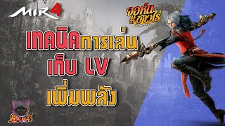 MIR4:เทคนิคการเล่นเบื้องต้น สำหรับมือใหม่ วิธีเก็บ LV เพิ่มพลังตัวละคร และต้องทำอะไรต่อวันคุ้มสุด