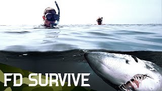 Survival Stories Shark Attack Fight To Survive Fd Survive