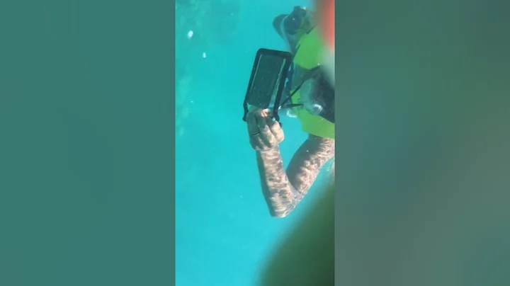 Snorkeling in Ocho Rios Jamaica