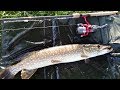 Lure fishing Spinning for Pike on the Canal in Dublin