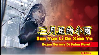 三月裡的小雨 San Yue Li De Xiao Yu (Remix)2021