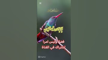 القرآن الكريم #اكسبلور #دويتو #رمضانمبارك #duet #تيك_توك #صباح_الخير #لايك #حالات_واتس #راحة_نفسية