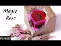 Rose magique  en rsine epoxy lampe de nuit  resin art