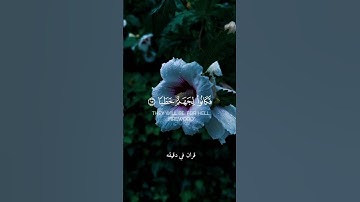 قران كريم ارح قلبك وسمعك #قران_في_دقيقة #المصحف #راحة_نفسية #quran ##قران @قران_في_دقيقة