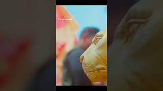 vikramaditya bhoshle politician off king 💖😈😈
